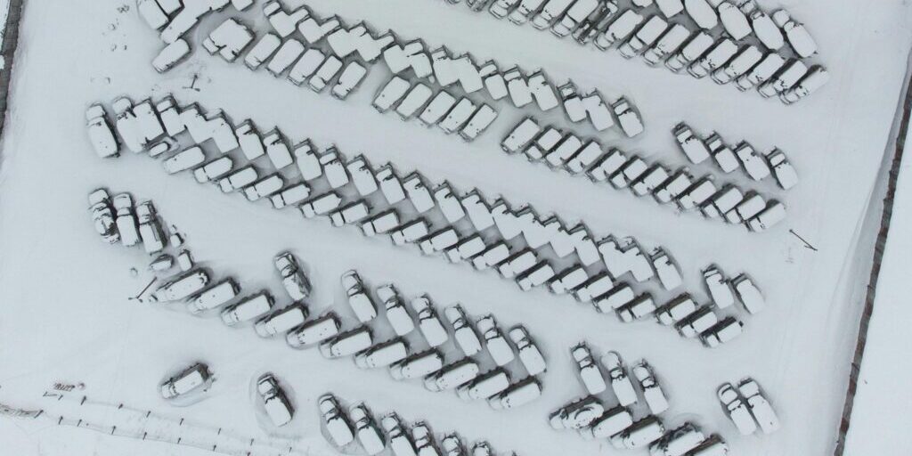 yard spotters winter